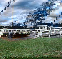 Bridge Creek War Memorial Bridge - Tourism TAS