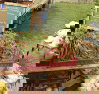 Burnie Farmers Market - Tourism TAS