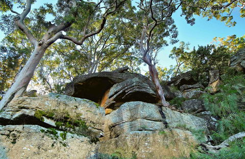 Burrawang Reach Picnic Area - Hobart Tourism 0