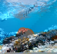 Capricorn Coast and Great Keppel Island Drive Itinerary - Tourism TAS