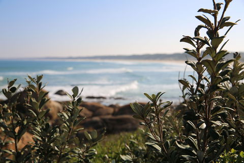 Cape Conran Coastal Park - Hobart Tourism 0