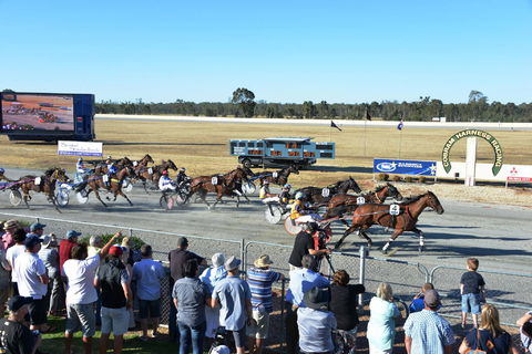 Cobram And District Harness Racing Club - Tourism TAS 2