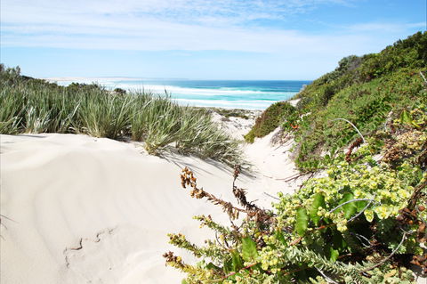 Coffin Bay National Park - Tourism TAS 1