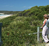 Conjola Beach Picnic Area - Tourism TAS
