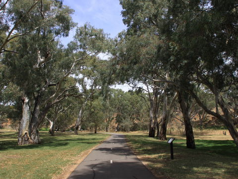 Dead Mans Pass - Hobart Tourism 0