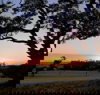 Eden Valley Lookout - Tourism TAS