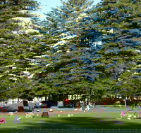 Esplanade Reserve - Hobart Tourism