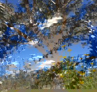 Euroa Arboretum - Tourism TAS