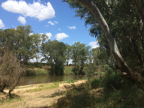 Farleigh 'Beach' Reserve - Hobart Tourism 0