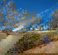 Freshwater Creek Track Byfield National Park - Tourism TAS