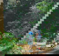 Gloucester National Park - Tourism TAS