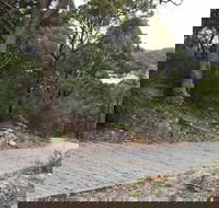 Great North Walk  Ku-ring-gai Chase National Park - Tourism TAS