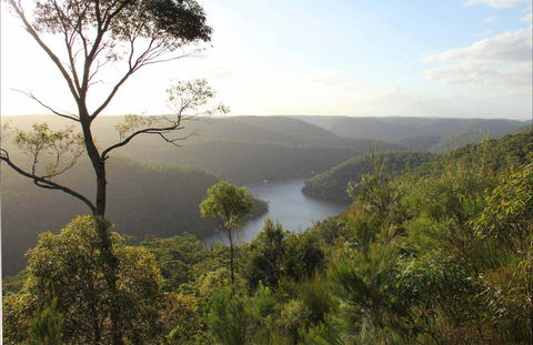 Great North Walk - Berowra Valley National Park - Hobart Tourism 0