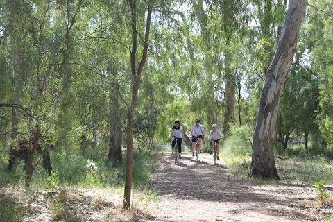 Hay Free Push Bikes - Tourism TAS 0