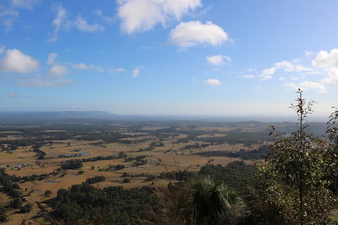 Heaton State Forest - Watagan Mountains - Tourism TAS 0