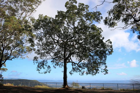 Heaton State Forest - Watagan Mountains - Tourism TAS 2