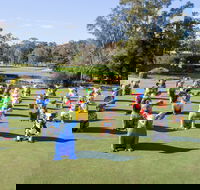 Hello Koalas Sculpture Trail - Tourism TAS