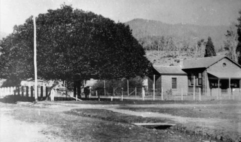 Jamieson Museum - Hobart Tourism 0