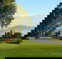 Kangaroo Tours at Gisborne Golf Club Inc - Tourism TAS