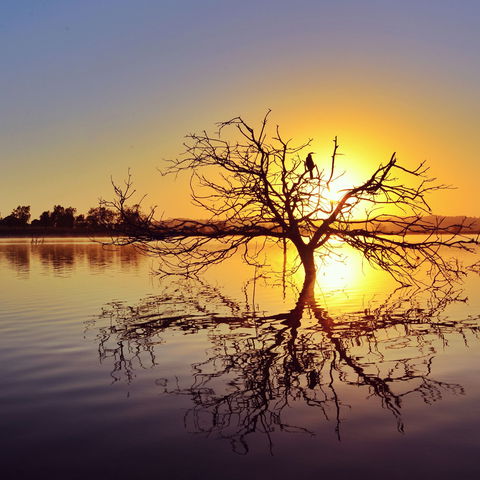 Lake Dyer - Hobart Tourism 0