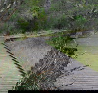 Leschenault Peninsula Conservation Park - Tourism TAS