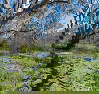 Macquarie Valley Trails - Tourism TAS