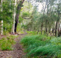 Meroo Lake walking track - Tourism TAS