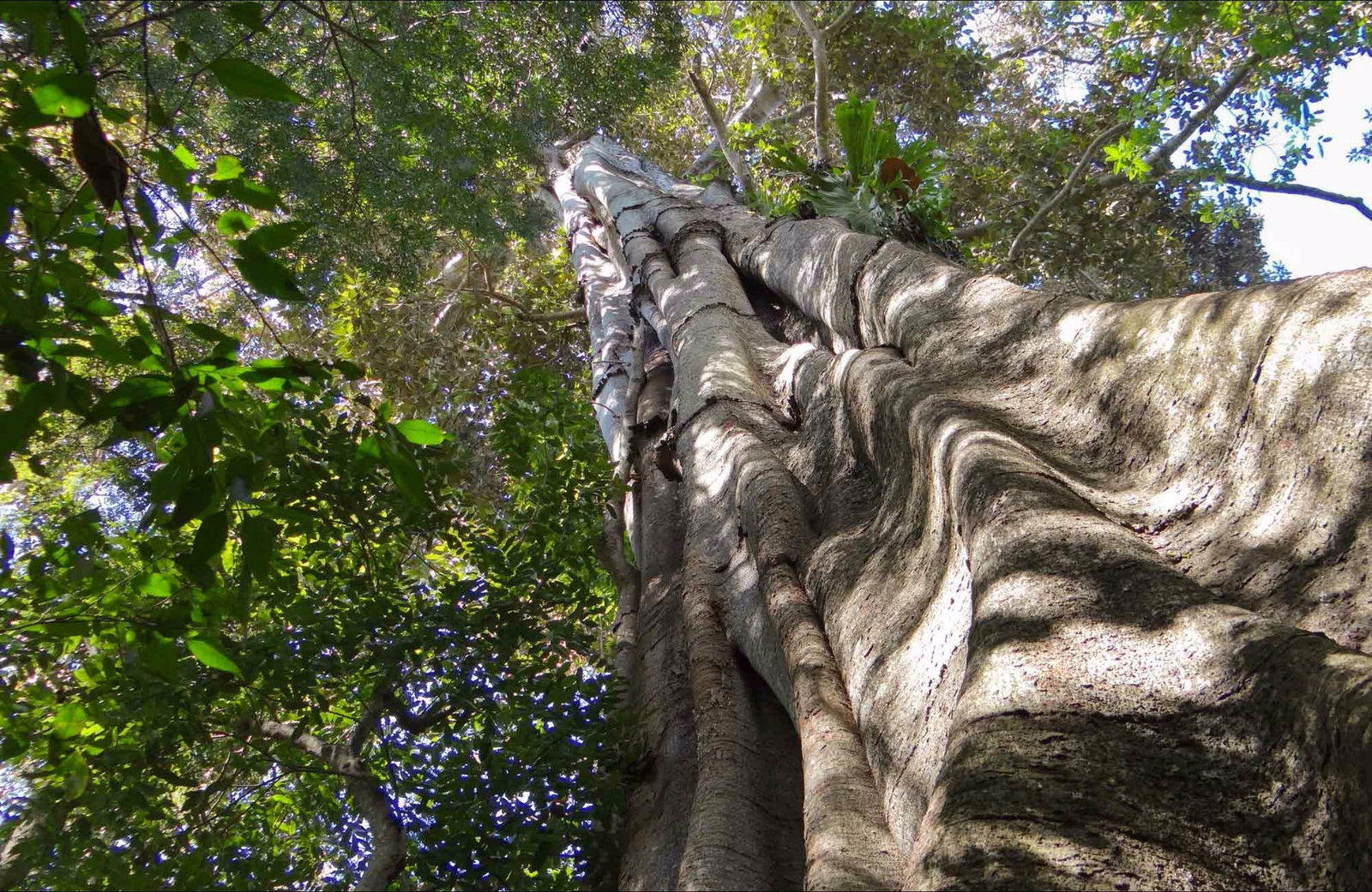 Northern Rivers And Tropical Nsw NSW Hobart Tourism