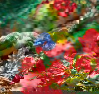 Mount Surprise - Hobart Tourism