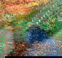 Mount Wilson and Mount Irvine - Hobart Tourism