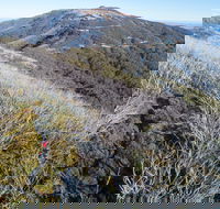 Mt Buller Bike Park - Hobart Tourism