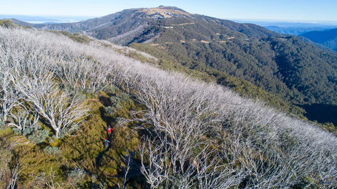 Mt Buller Bike Park - Tourism TAS 0