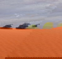 Munga-Thirri - Simpson Desert Conservation Park and Regional Reserve - Tourism TAS