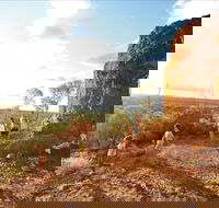 Natural Sciences Loop - Hobart Tourism