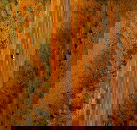 Newcastle Waters - Tourism TAS