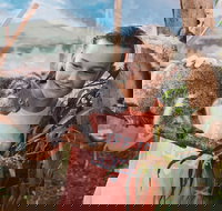 Oakvale Wildlife Park - Tourism TAS