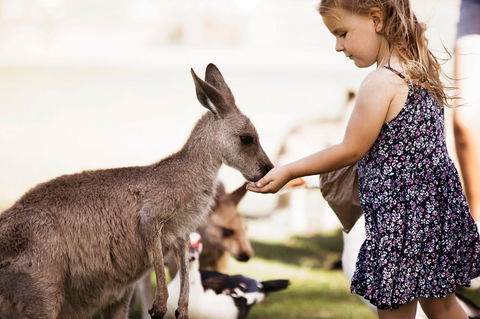 Oakvale Wildlife Park - Tourism TAS 1