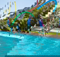 Oaklands War Memorial Swimming Pool - Tourism TAS