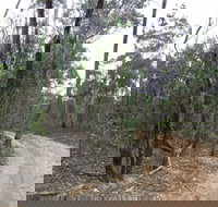 Paddys Ranges State Park - Hobart Tourism