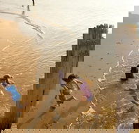 Phillip Island - Tourism TAS