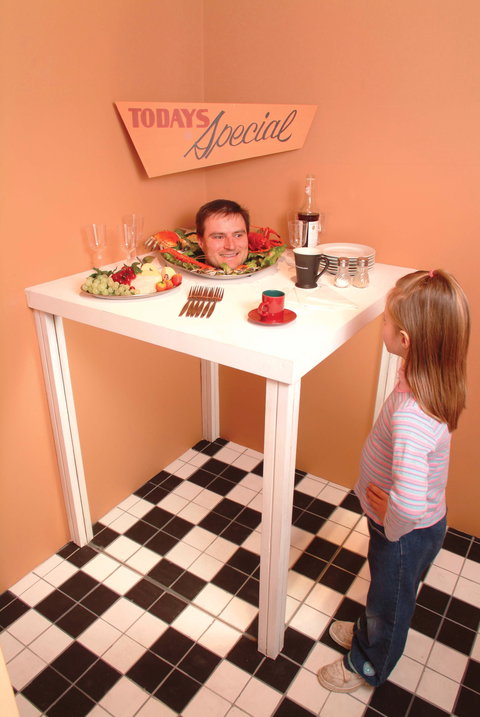 Phillip Island Experience - Tourism TAS 0