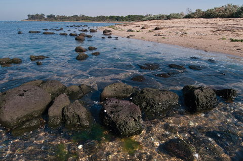 Point Cook Marine Sanctuary - Tourism TAS 0