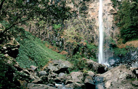 Rawson Falls Walk - Hobart Tourism 0