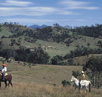 Rosebrook