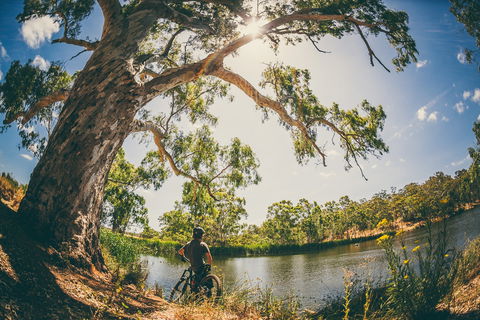 Sturt Gorge Recreation Park - Tourism TAS 0