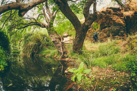 Sturt Gorge Recreation Park - Tourism TAS 1