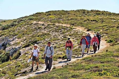 The Sole Walk At Hillocks Drive - Tourism TAS 0