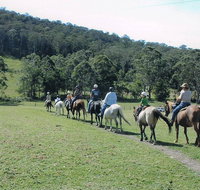 Timbertops - Horse Riding - Tourism TAS