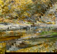 Warrabah National Park - Hobart Tourism