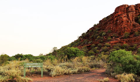 Whyalla Conservation Park - Tourism TAS 0